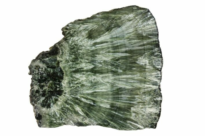 Polished Seraphinite Slab - Siberia #174915